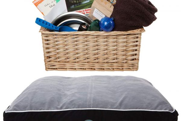 Welcome dog basket and bed