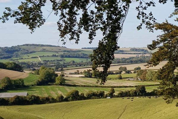 Superb view of rolling fields across the meon Valley at Wallops Wood Cottages Wallops Wood