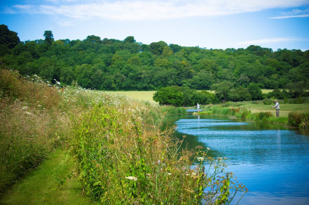 Fly Fishing at Meon Springs