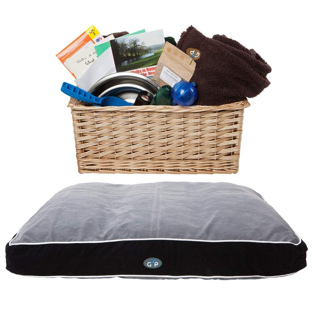 Welcome dog basket with toy treats comofy bed dog walks and tags as well as beowl and blankets for our furry friends