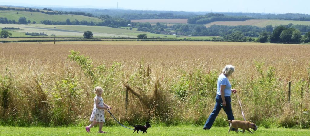 A stroll in the beautiful countryside with your dog and family