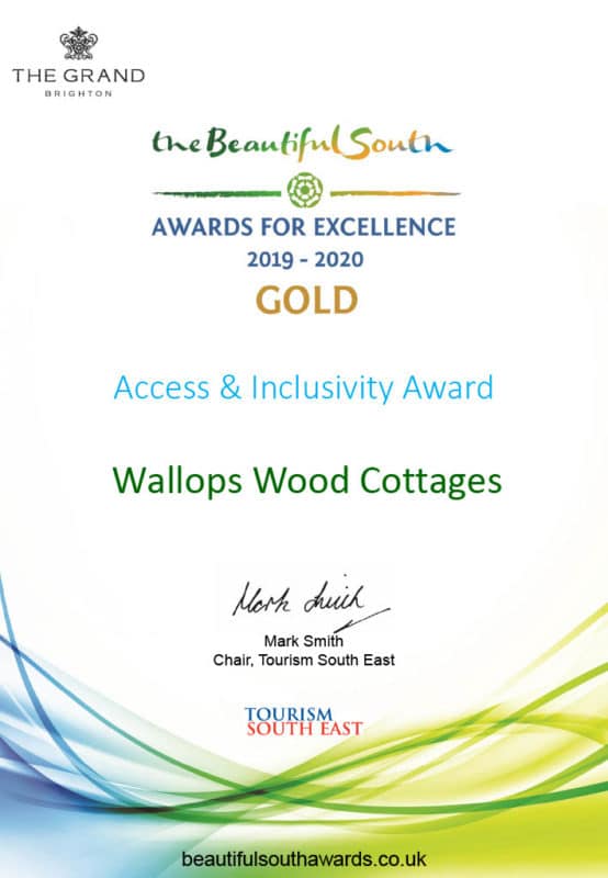 award white paper with gold award for access and inclusivity