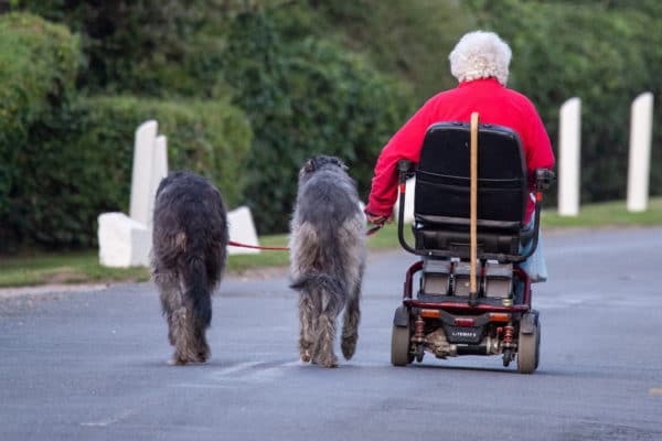 Wheelchair user with dogs