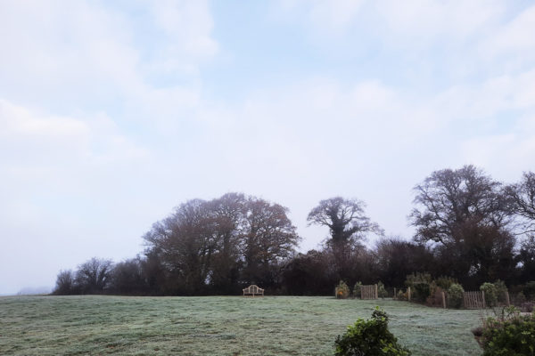 Frosty Meadow at Wallops Wood