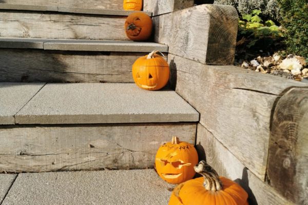A display of pumpkins in the sunshine and on the steps to the meadow at Wallops Wood Cottages