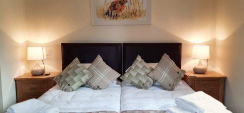 Twin beds with calming and restful bed linen, bedside table lamps giving a warm glow and a picture of a Hampshire hare on the wall